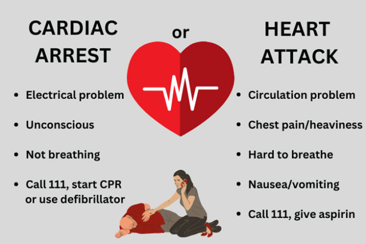 Understanding the Difference between Heart Attack & Cardiac Arrest ...